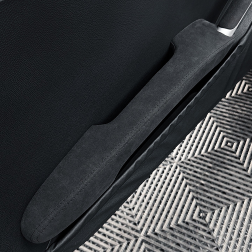 Mercedes Benz R171 Brabus Door Detail