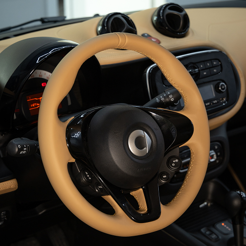 Thanos Designs Smart for two Steering Wheel Close Up